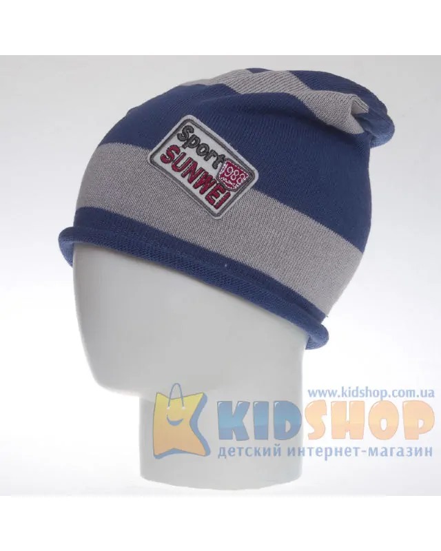 Шапка Anpa KW36 сіро-синій
